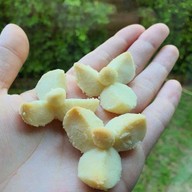 ปลาร้าไฮโซ