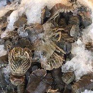 HuaHin Seafood Buffet