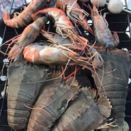 HuaHin Seafood Buffet