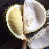 บรรยากาศ สวนลุงเปี๊ยก ทุเรียนป่าละอู