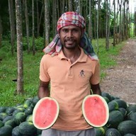 กัสโต้ คอฟฟี่ & ฟรุ๊ตเดลิเวอรี่ สภาหอการค้าไทย