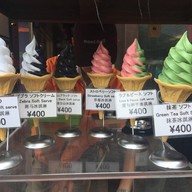 Mt. Fuji Panoramic Ropeway