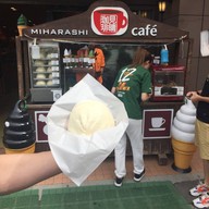 Mt. Fuji Panoramic Ropeway