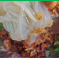 ก๋วยจั๊บญวนอุบลฯ(ชากกระปอก)