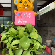 เล็กข้าวมันไก่ สูตรไหหลำ ซอยประเสริฐมนูกิจ 29 แยก 4