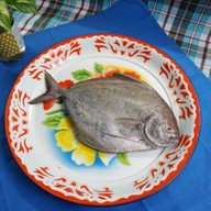 เมนูของร้าน เสือตังเก สมุทรสาคร