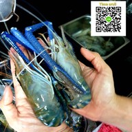 Timearoii กุ้งเผา