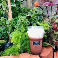 เซฟเฮ้าส์ เบเกอรี่ คาเฟ่ ซอยบ้านสวนเศรษฐกิจ30