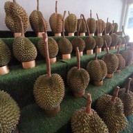 ทุเรียนฟ้าใส ผลไม้ตามฤดูกาล ลาดพร้าว112 รามคำแหง 53