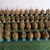 ทุเรียนฟ้าใส ผลไม้ตามฤดูกาล ลาดพร้าว112 รามคำแหง 53