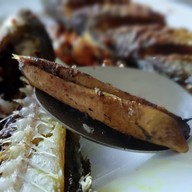 Brunch Nok