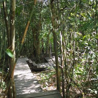 บรรยากาศ ผาเดียวดาย