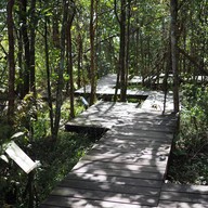 บรรยากาศ ผาเดียวดาย