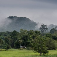 Klong Phai Farm