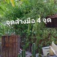 ก๋วยเตี๋ยวเรือรสนิยม ต้นตำรับ หมู่บ้านสายฝน1 อ.เมือง ขอนแก่น