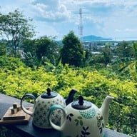 บ้านสวนกาแฟเขาโต๊ะแซะ