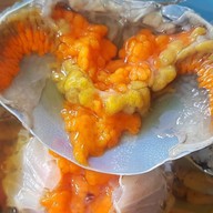 บ้านปูดองหาดวอน