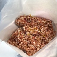 เมนูของร้าน เสรี