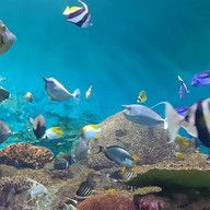 บรรยากาศ Coex Aquarium