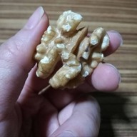 ออแกนิควา