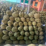 ทุเรียนหมอนทองน้องอันดา