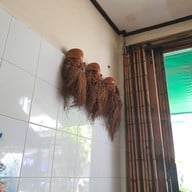 บรรยากาศ ก๋วยเตี๋ยวเป็ด สูตรแต้จิ๋ว