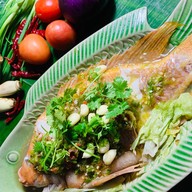 ร้านจังโก้ เชียงใหม่