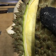 ทุเรียนหมอนทองน้องอันดา