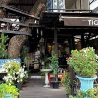 Tiger TED Cafe