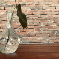 ประจำอำเภอ