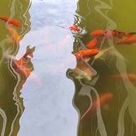 โรงแรมริเวอร์ตัน อัมพวา