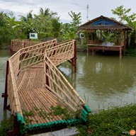บรรยากาศ Little Dream Garden