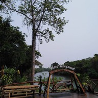 วารี วัลเล่ย์