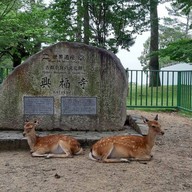 Nara Park