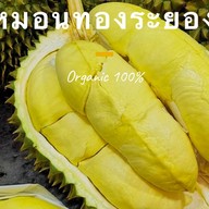 ทุเรียนฟ้าใส ผลไม้ตามฤดูกาล ลาดพร้าว112 รามคำแหง 53