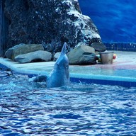 Oasis Sea World