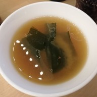 ต้นกะเพรา แก่งคอย