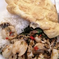 ต้นกะเพรา แก่งคอย