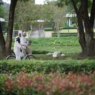 Escape Chiang Mai Hotel