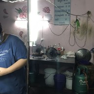 เมนู เหมียว ตามสั่ง