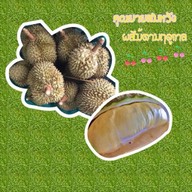 สมหวังผลไม้ตามฤดูกาล