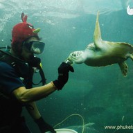 บรรยากาศ สถานแสดงพันธุ์สัตว์น้ำภูเก็ต