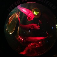 สถานแสดงพันธุ์สัตว์น้ำภูเก็ต