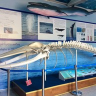 บรรยากาศ สถานแสดงพันธุ์สัตว์น้ำภูเก็ต