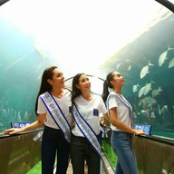 บรรยากาศ สถานแสดงพันธุ์สัตว์น้ำภูเก็ต