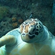 บรรยากาศ สถานแสดงพันธุ์สัตว์น้ำภูเก็ต