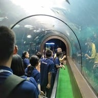 สถานแสดงพันธุ์สัตว์น้ำภูเก็ต