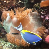 บรรยากาศ สถานแสดงพันธุ์สัตว์น้ำภูเก็ต