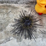 น้าพล คานเรือเล็กโฮมสเตย์