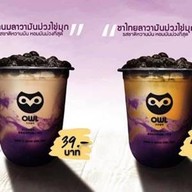 Owl Cha ศาลายา